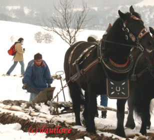 Foto: Christiane Meischner