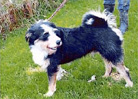 Foto: Lebenswürde für Tiere e.V.